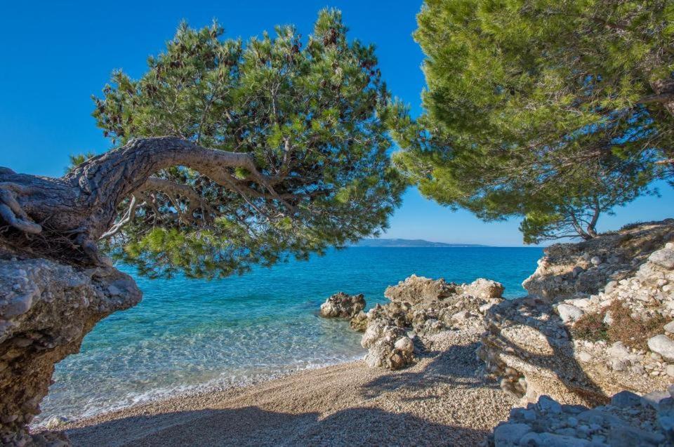 Apartments Kovacic Makarska Esterno foto